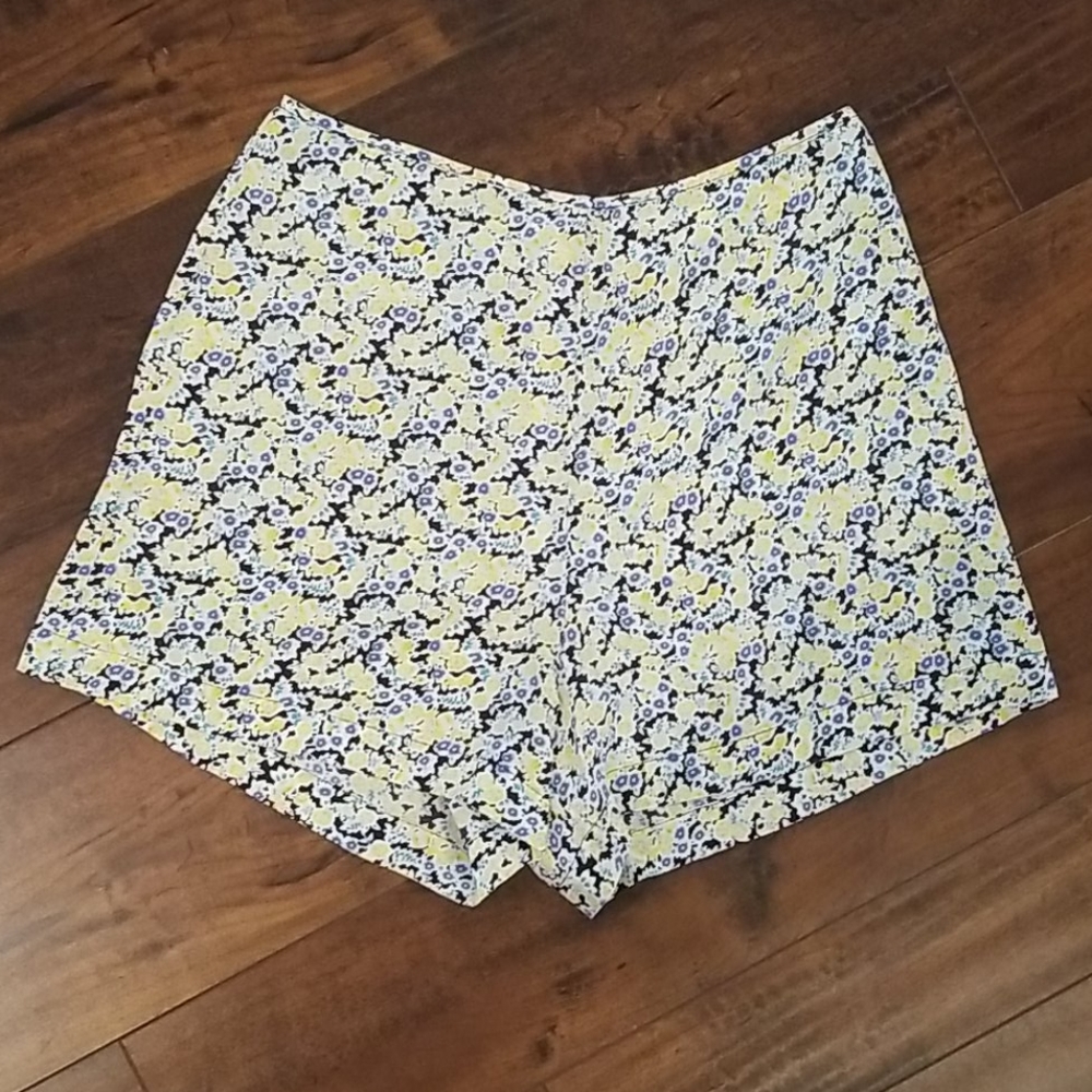 Equipment Silk Shorts
